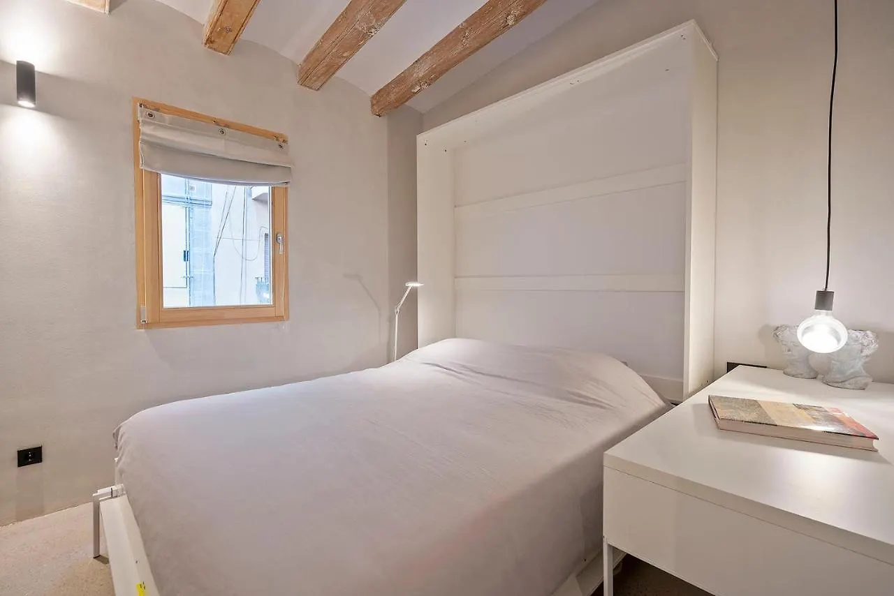 Penthouse With Rooftop Apartment In The Barceloneta - Barcelona