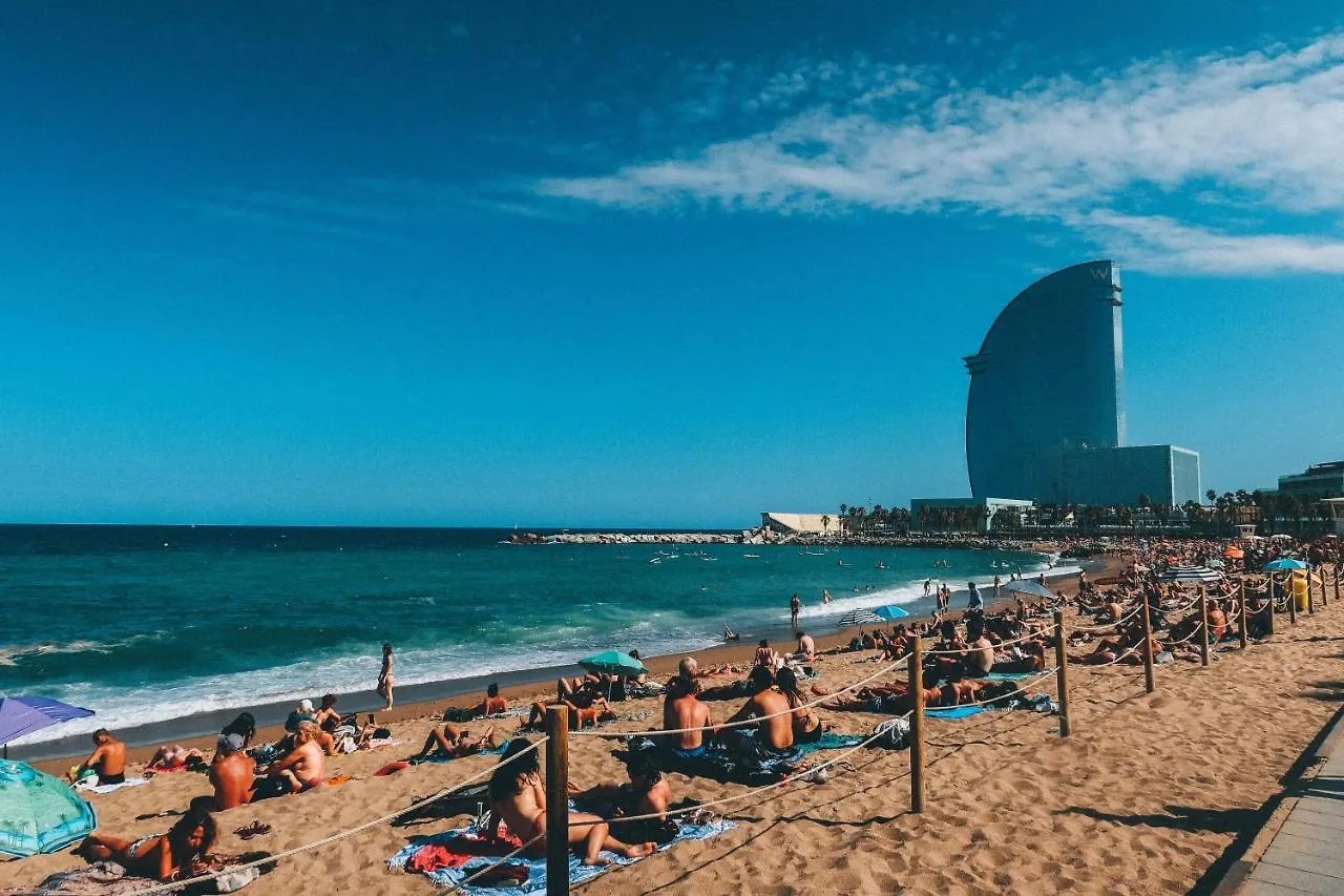 Penthouse With Rooftop Apartment In The Barceloneta - Barcelona