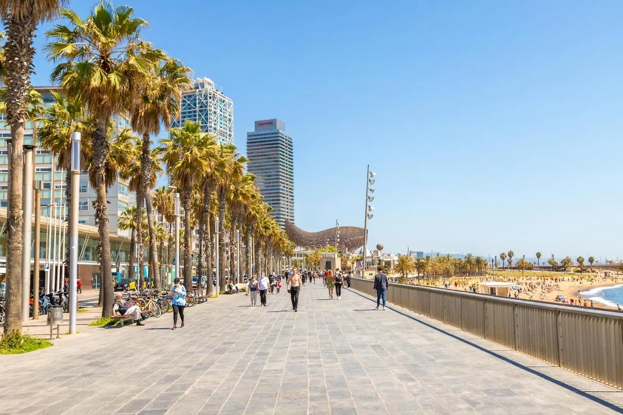 Penthouse With Rooftop Apartment In The Barceloneta - Barcelona